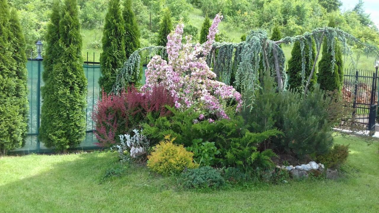 Villa Marta Ohrid Exteriör bild